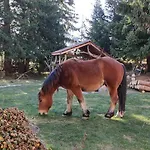 приказното място - The Fairytale Place * Smolyan