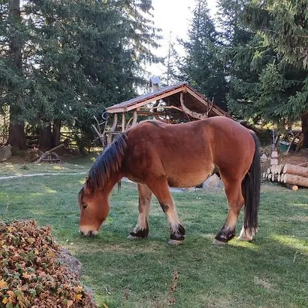 приказното място - The Fairytale Place * Smolyan