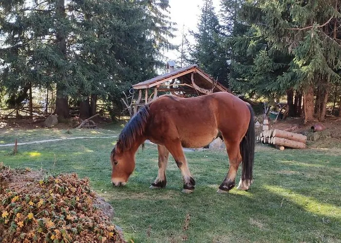 приказното място - The Fairytale Place * Smoljan